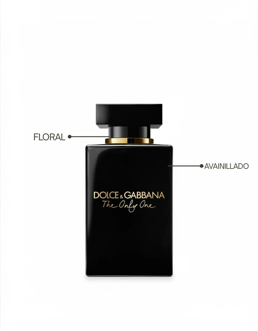 THE ONLY ONE  Dolce & Gabbana